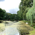Photo n°4 de l'avis de Timo.i fait le 02/09/2021 à 20:15 sur le  Jagdschloss Bellin à Krakow am See