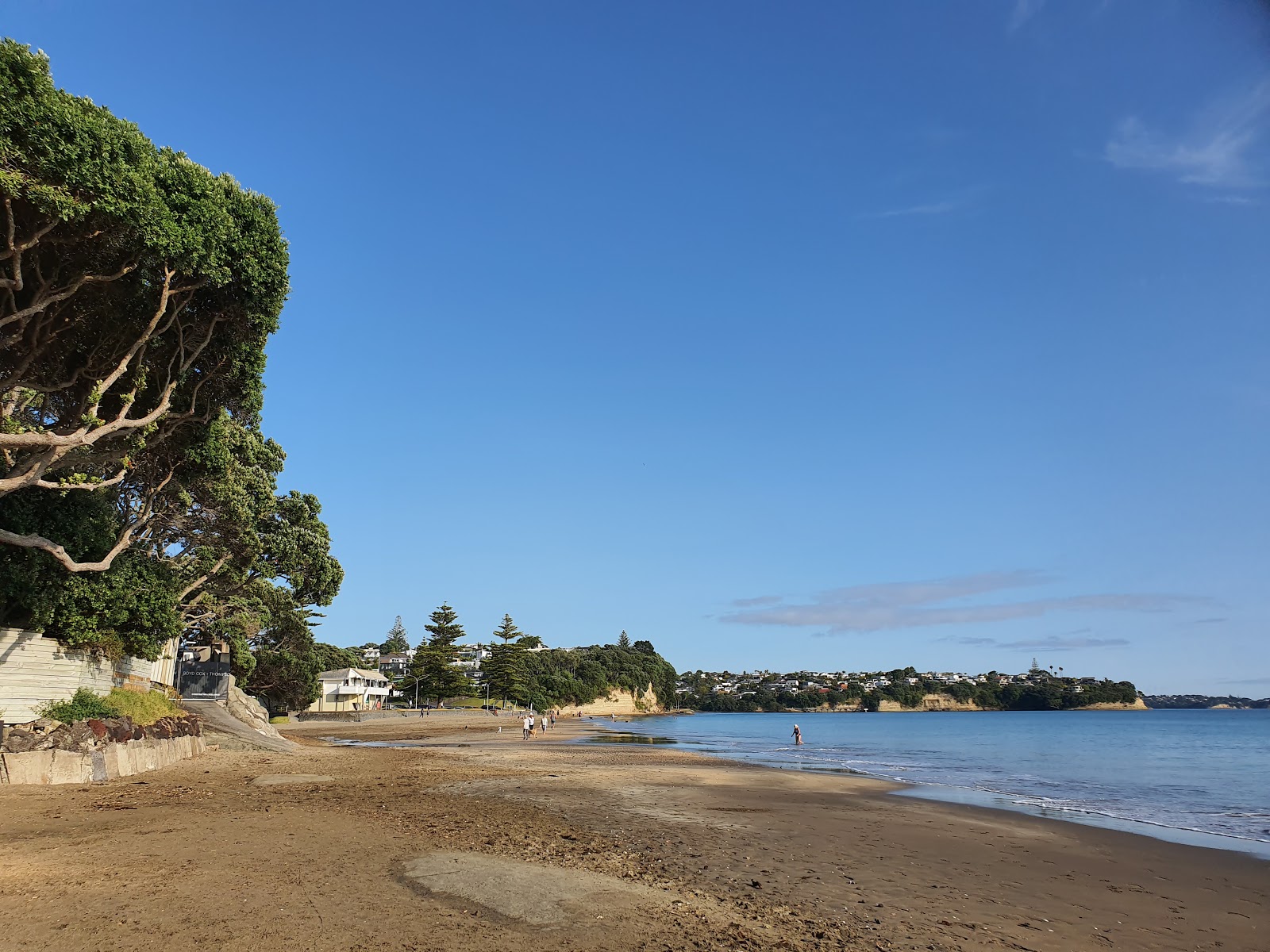 Mairangi Bay Beach的照片 带有碧绿色水表面