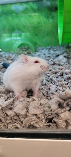 Pet Supply Store «PetSmart», reviews and photos, 7177 SE 29th St, Midwest City, OK 73110, USA