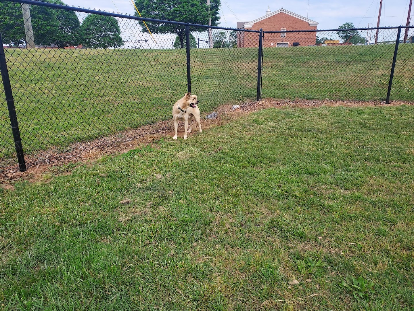 Trails to Tails Dog Park
