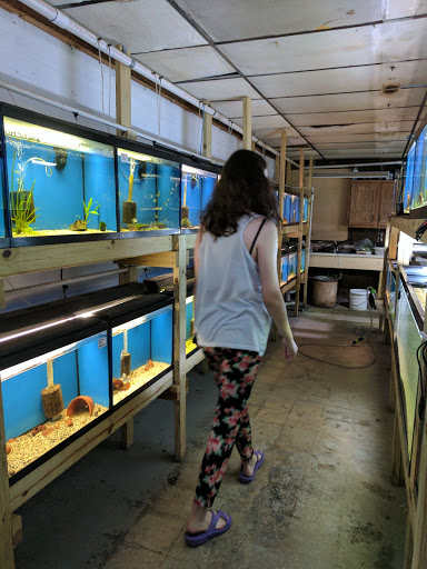Tropical Fish Store «William Tricker Inc», reviews and photos, 7125 Tanglewood Dr, Cleveland, OH 44131, USA