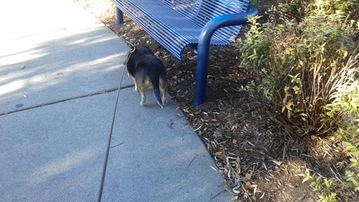 Park «Wahby Park», reviews and photos, 24800 Jefferson Ave, St Clair Shores, MI 48080, USA