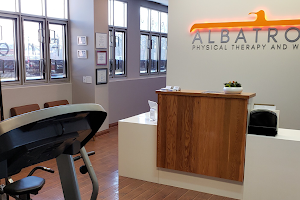 Albatross Physical Therapy and Wellness - Wheaton image