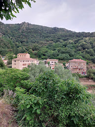 Photo n°24 de A forge restaurant à Oletta ()