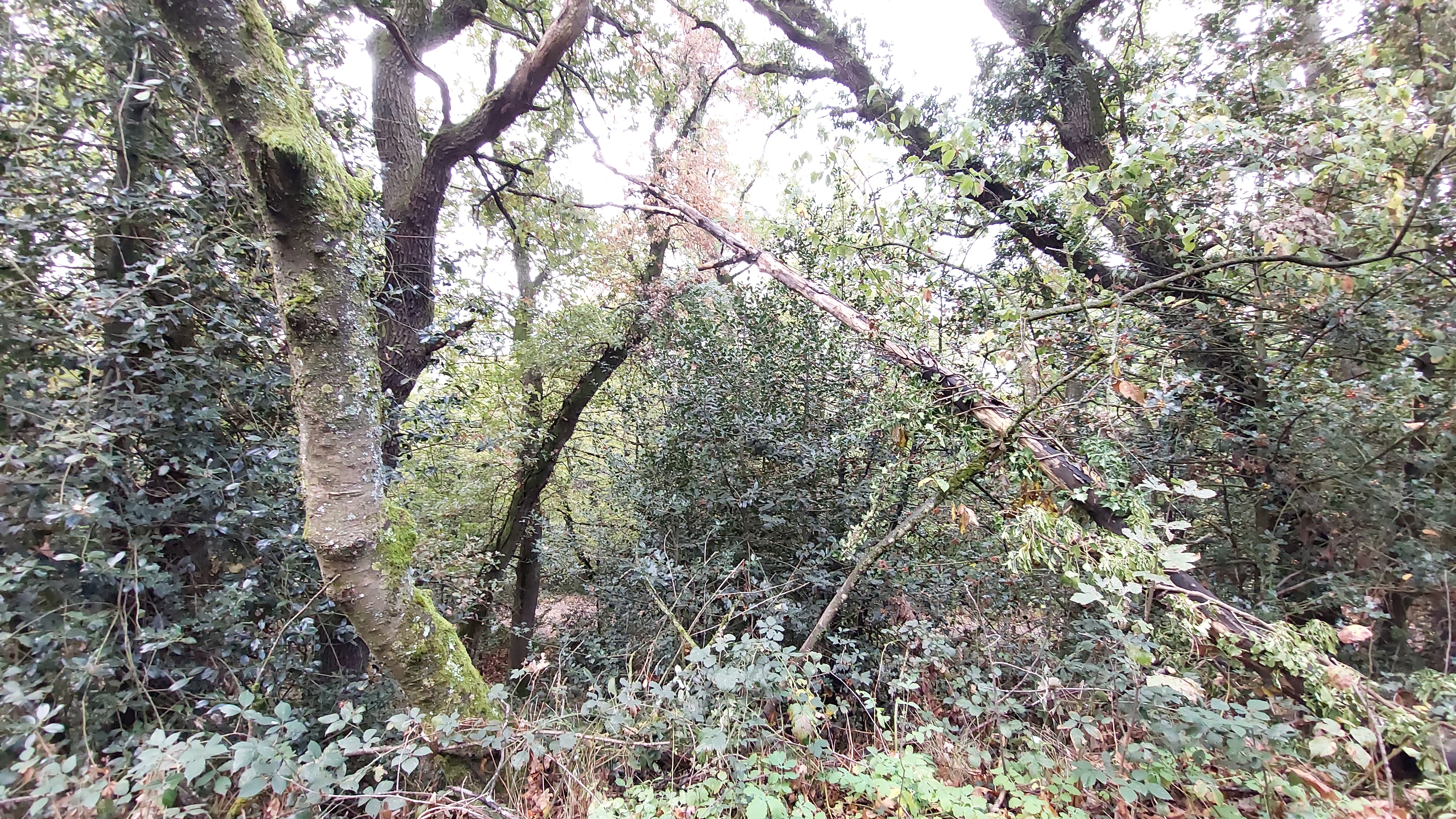 Photo n° 5 de l'avis de Josh.r fait le 05/11/2022 à 12:12