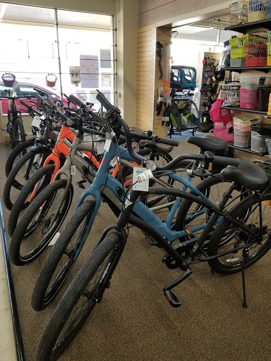 Bicycle Store «Orange Cycle», reviews and photos, 2204 Edgewater Dr, Orlando, FL 32804, USA