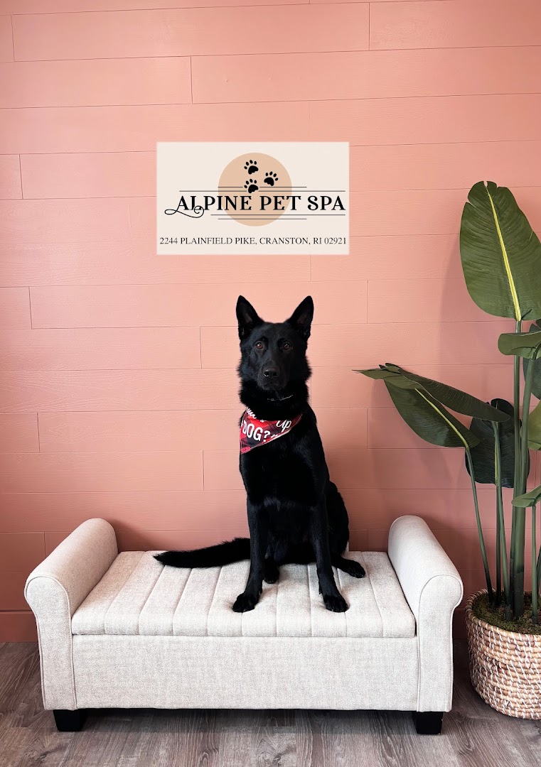 Alpine Pet Spa