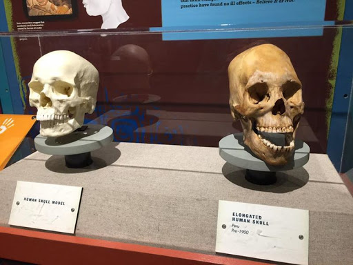 Science Museum «Great Lakes Science Center», reviews and photos, 601 Erieside Ave, Cleveland, OH 44114, USA