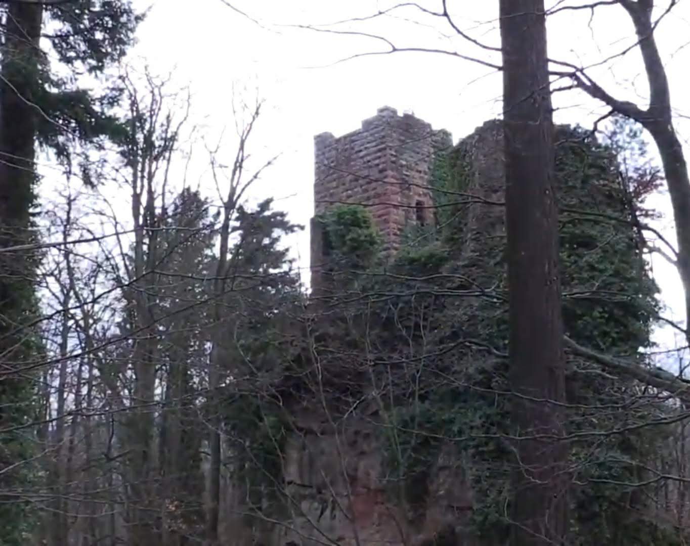 Photo n° 9 de l'avis de channel.a fait le 13/02/2022 à 15:39