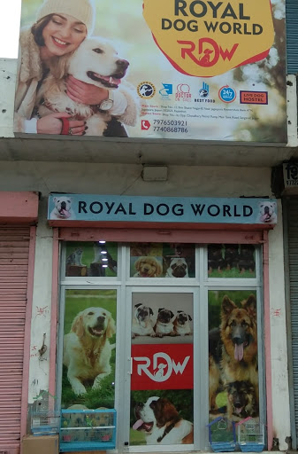 Royal Dog World,Jaipur