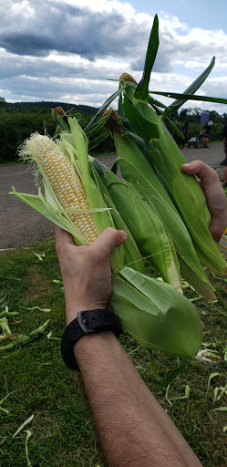 Farm «Alstede Farms», reviews and photos, 1 Alstede Farms Ln, Chester, NJ 07930, USA