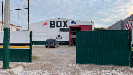 Elite Boxing Club - José de Escandón 640, Longoria, 88660 Reynosa, Tamps., Mexico
