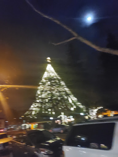 Day Spa «The Spa - Los Gatos», reviews and photos, 100 S Santa Cruz Ave, Los Gatos, CA 95030, USA