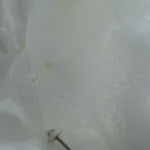 Photo n°1 de l'avis de Toxsie. fait le 23/01/2024 à 19:47 sur le  Delphin Grill à Hohenhameln