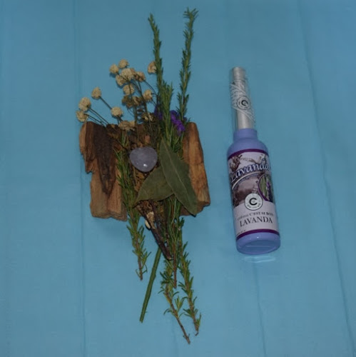 Opinii despre Zoe Mistika în Lima - Escuela