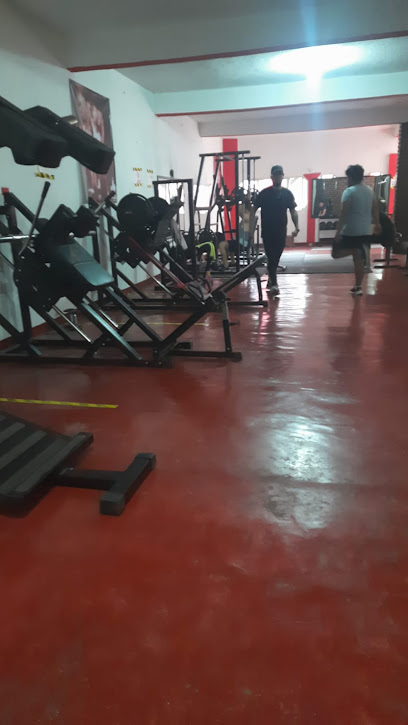 House Fitness Gym