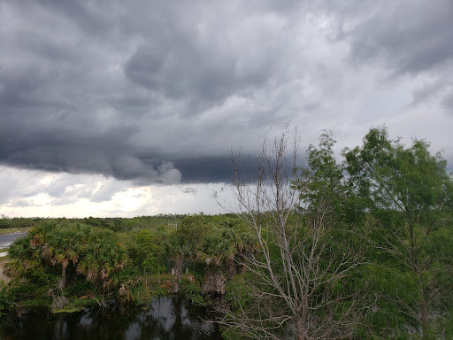 Nature Preserve «Karen T. Marcus Sandhill Crane Access Park», reviews and photos, 8175 PGA Boulevard, Palm Beach Gardens, FL 33418, USA