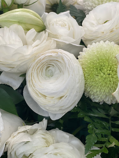 Florist «Potomac Wholesaler», reviews and photos, 2403 Linden Ln, Silver Spring, MD 20910, USA