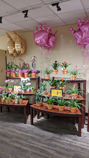 Grocery Store «Safeway», reviews and photos, 1767 E Prince Rd, Tucson, AZ 85719, USA