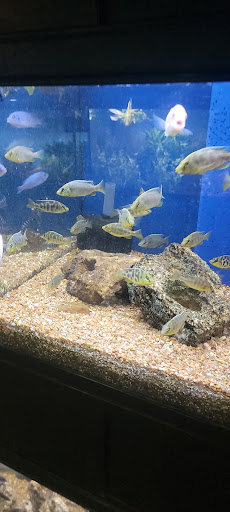 Pet Store «Olathe Pet Shop», reviews and photos, 16651 151st St, Olathe, KS 66062, USA