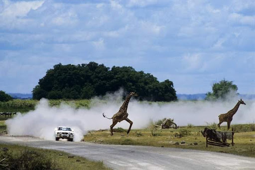 Movie Theater «Murray Hill Theatre», reviews and photos, 932 Edgewood Ave S, Jacksonville, FL 32205, USA