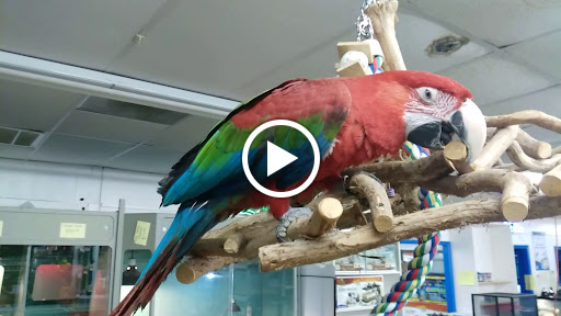 Pet Store «Pet World - Auburndale», reviews and photos, 3637 Havendale Blvd, Auburndale, FL 33823, USA