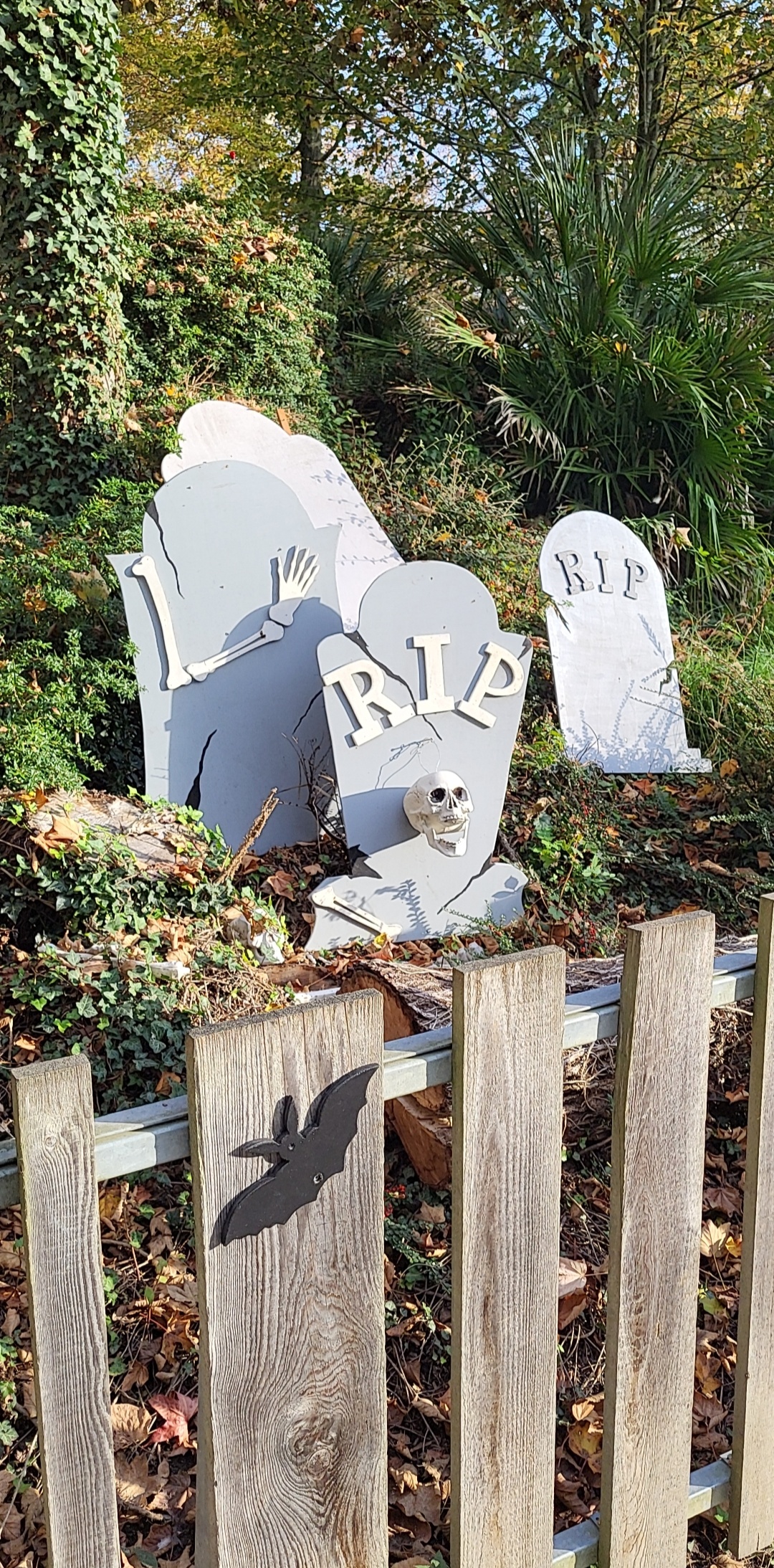 Photo n° 11 de l'avis de Jennifer.a fait le 11/11/2022 à 12:11