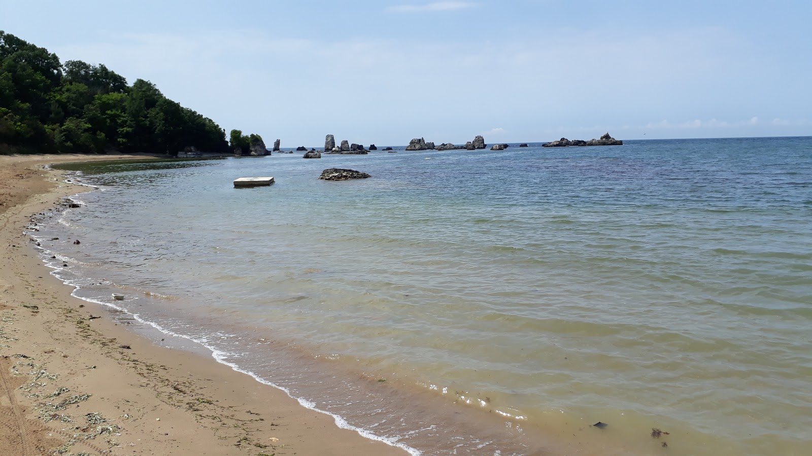 Fotografija Kadinlar PlajI Kerpe Mico II z ravna obala