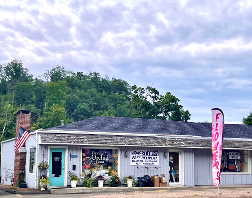 Florist «Devine Orchids», reviews and photos, 3551 Whitney Ave, Hamden, CT 06518, USA
