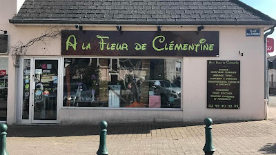 A La Fleur De Clémentine à Changé