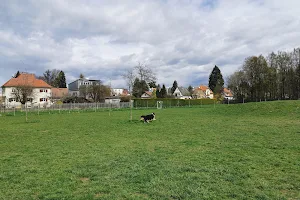 Hundewiese ORF Park image
