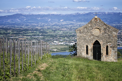 Domaine Alain Voge à Cornas