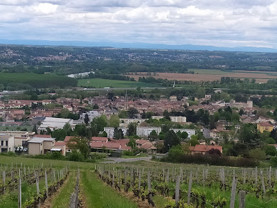 Belvédère du Turget à Chiroubles