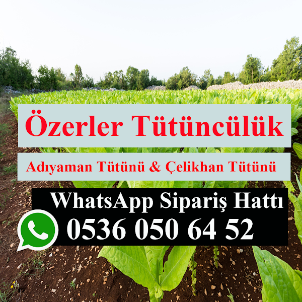 Özerler Tütüncülük | Adıyaman Tütünü & Çelikhan Tütünü logo