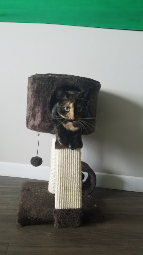 Pet Supply Store «Petco Animal Supplies», reviews and photos, 2901 32nd Ave S, Grand Forks, ND 58201, USA