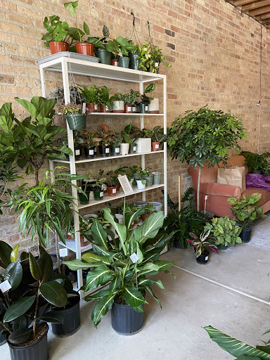 Florist «Pollen», reviews and photos, 2918 N Milwaukee Ave, Chicago, IL 60618, USA