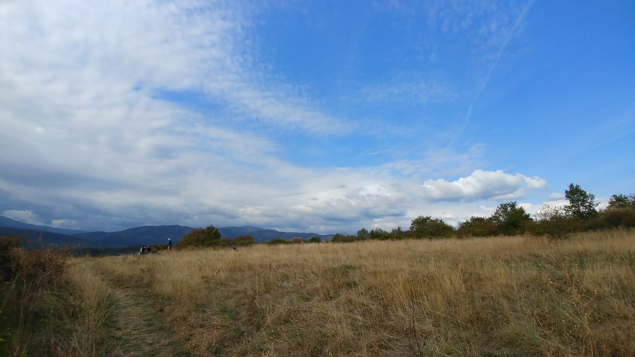 Photo n° 1 de l'avis de Laugal.a fait le 19/08/2019 à 14:30