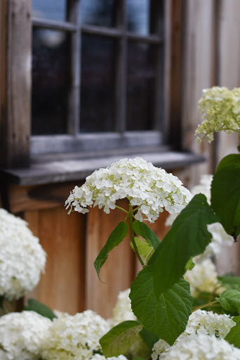 Nature Preserve «Beechwood Farms Nature Reserve», reviews and photos, 614 Dorseyville Rd, Pittsburgh, PA 15238, USA