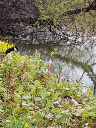 Toyota Dealer «Romano Toyota», reviews and photos, 6400 Basile Rowe, East Syracuse, NY 13057, USA