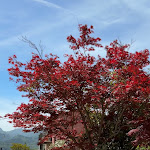 Photo n°9 de l'avis de Anna.o fait le 05/05/2024 à 22:15 sur le  Renaissance Tuscany Il Ciocco Resort & Spa à Castelvecchio Pascoli