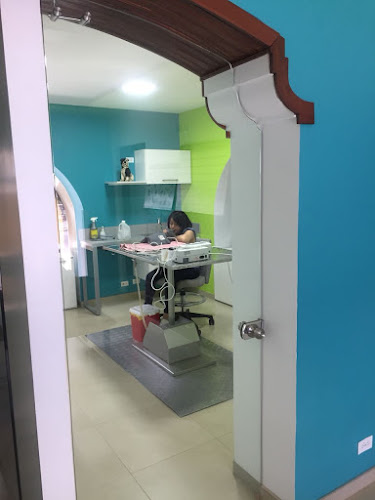 Opiniones de CEMESVET Hospital Veterinario en Quito - Veterinario