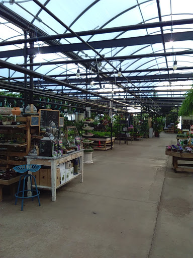 Garden Center «H J Benken Florist & Garden», reviews and photos, 6000 Plainfield Rd, Cincinnati, OH 45213, USA