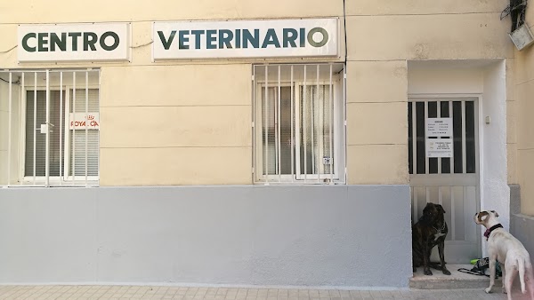Centro Veterinario Virgen del Castañar, Ignacio Salmerón Martín