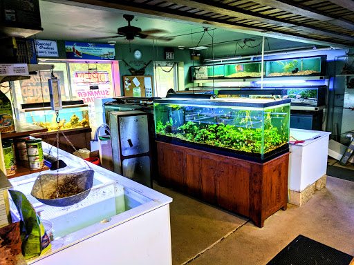 Aquarium «Syracuse Aquarium & Pond Supply», reviews and photos, 4618 North St, Jamesville, NY 13078, USA