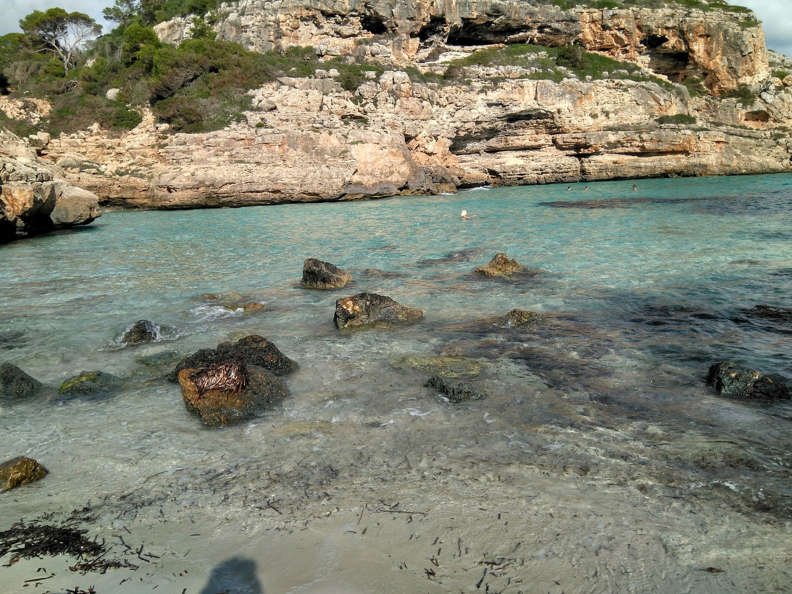 Cala Marmols的照片 带有碧绿色纯水表面