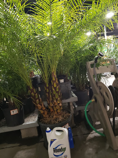 Home Improvement Store «The Home Depot», reviews and photos, 845 W Shaw Ave, Clovis, CA 93612, USA