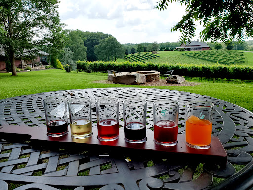 Winery «CeNita Vineyards, Winery & Tasting Room», reviews and photos, 591 Dock Dorsey Rd, Cleveland, GA 30528, USA
