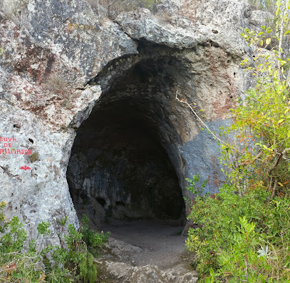 Cova de Vallmajor