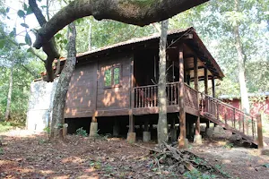 Tanshikar Spice Farm image