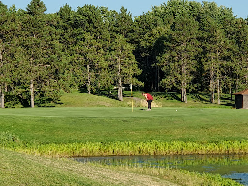 Golf Course «Island Lake Golf and Training Center», reviews and photos, 1000 Red Fox Rd, Shoreview, MN 55126, USA